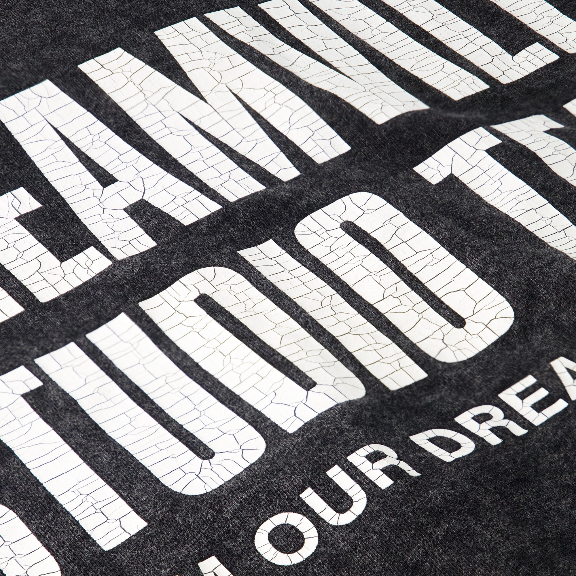 STUDIO TEAM ZIP UP HOODIE WASHED BLACK