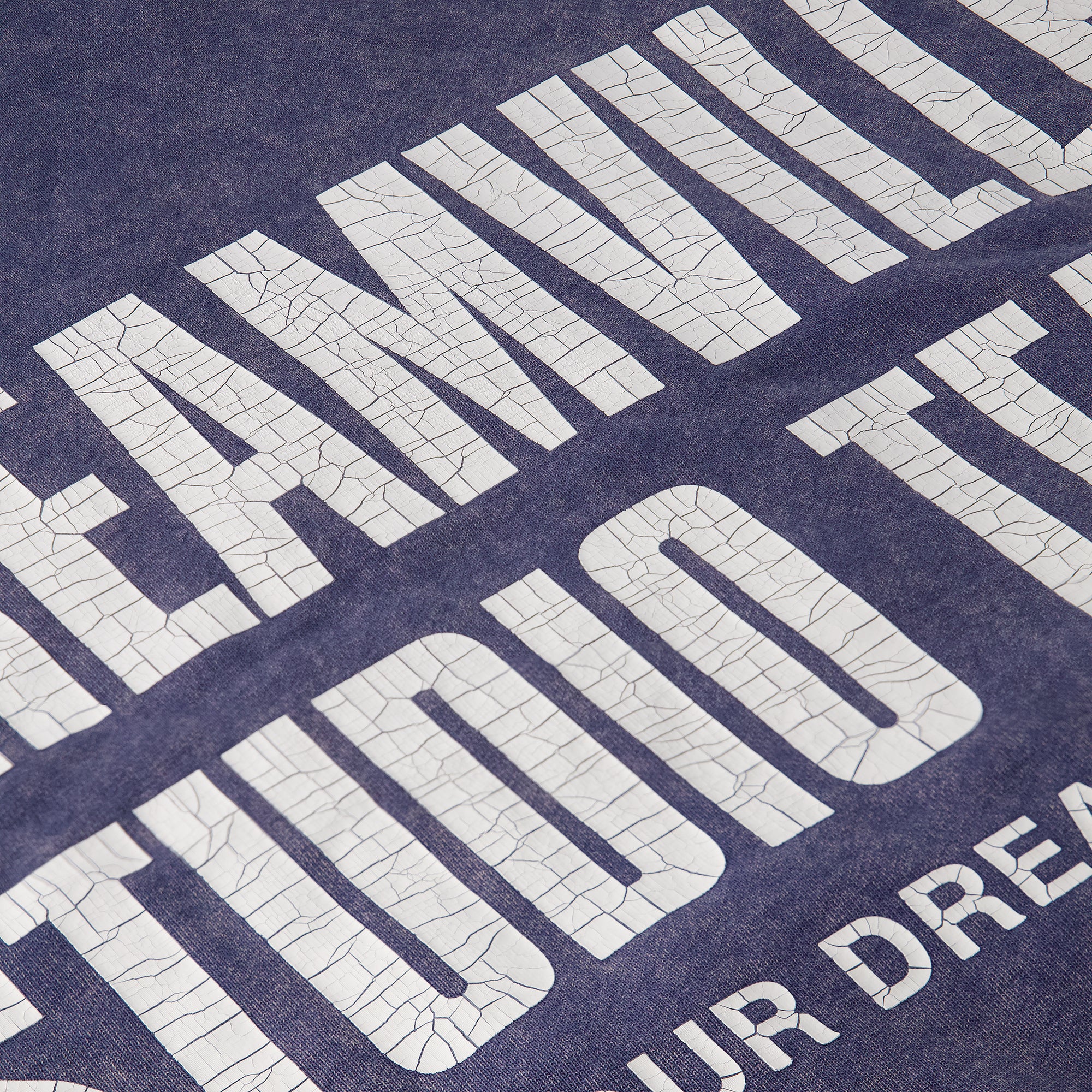 STUDIO TEAM ZIP UP HOODIE WASHED BLUE